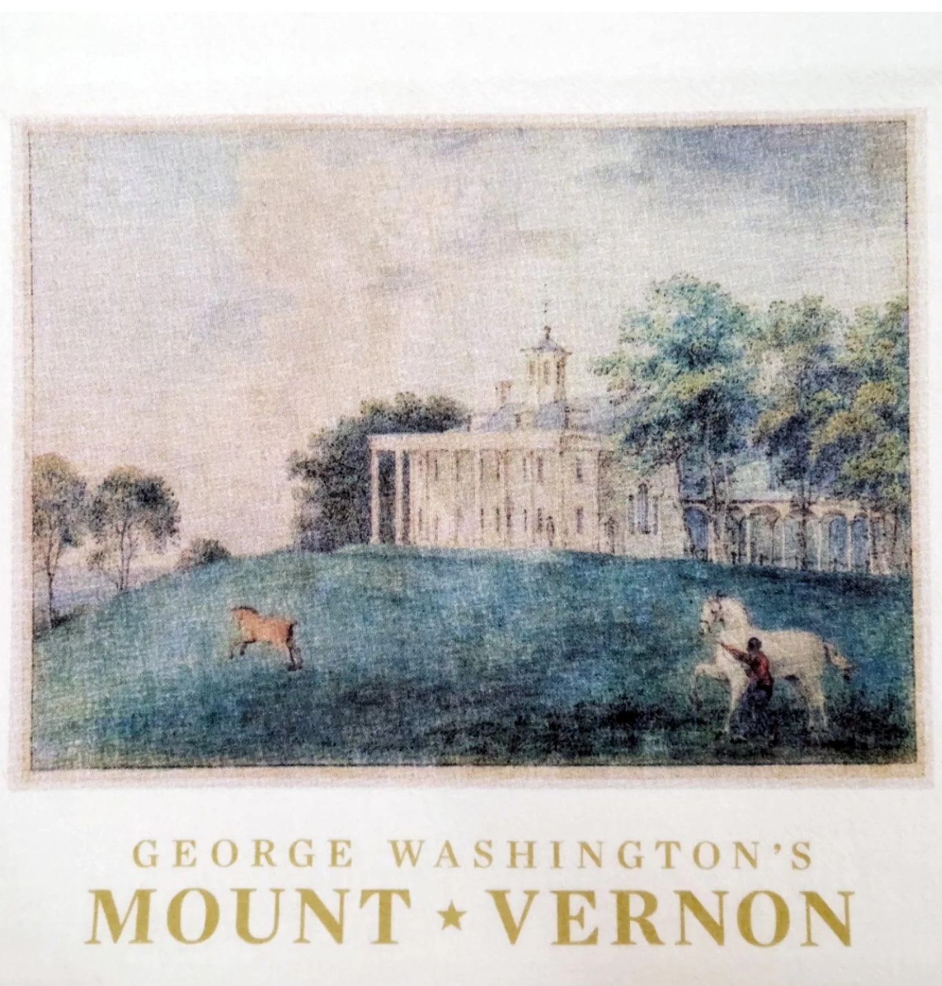 Potomac View Flour Sack Towels - Set of 2 - Image 2