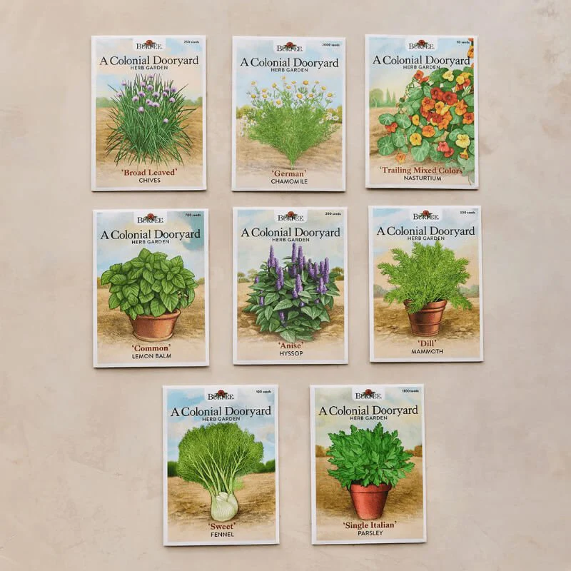 Colonial Dooryard Herb Garden Seed Kit – America’s 250th Anniversary - Image 4