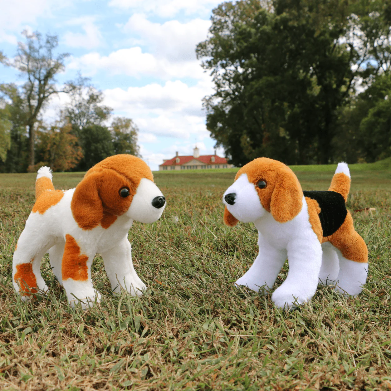 Sweetlips- Plush Toy - Image 7